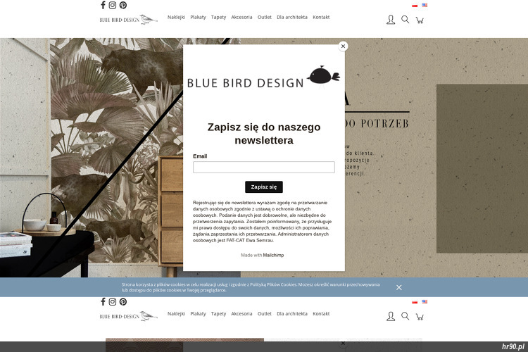 Bluebird Design